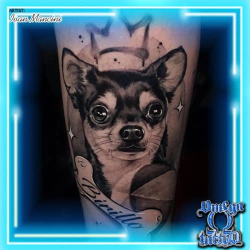 tatuaggio realistico ivan mancini birillo