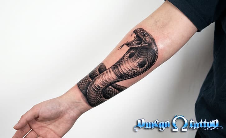 Significato tatuaggio cobra: simboli, idee e stili 1 significato tatuaggio cobra ev